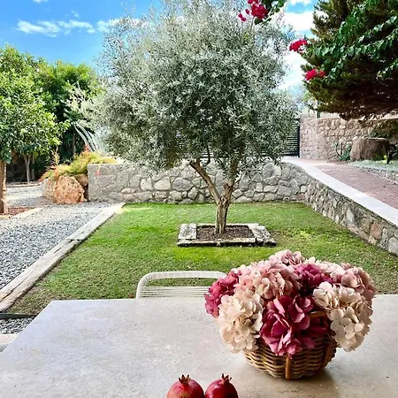 Cute Home, Modern 2 1 Stand Alone House With Garden, Near The