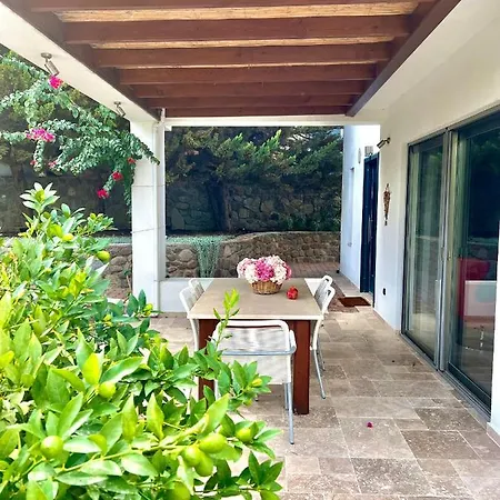 Cute Home, Modern 2 1 Stand Alone House With Garden, Near The Holiday home